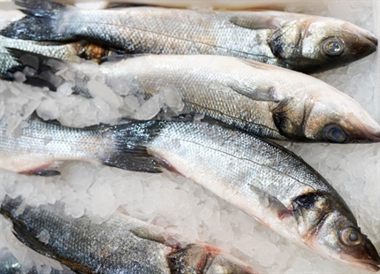 Prime Ocean opnår store besparelser med affugtning