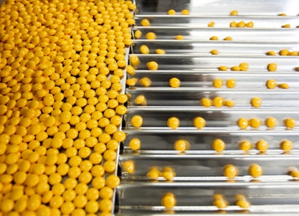 Fremstilling af farmaceutiske præparater