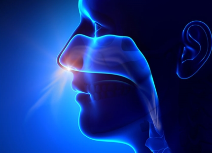 Når sunde forsøgspersoner indånder tør luft er den nasale mukociliære transport langsommere