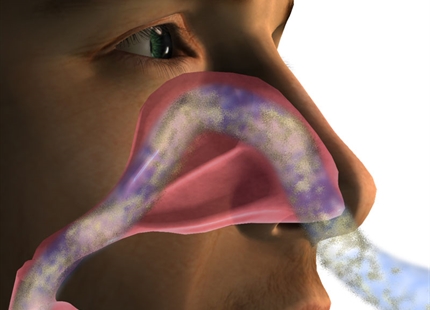 Om slimstrømningen i den menneskelige næse